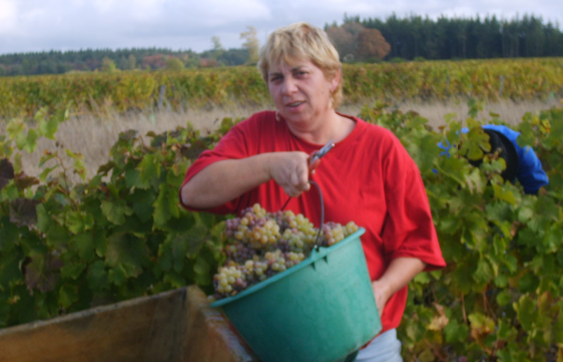 marie-laure_bouchet_domaine_bouchet